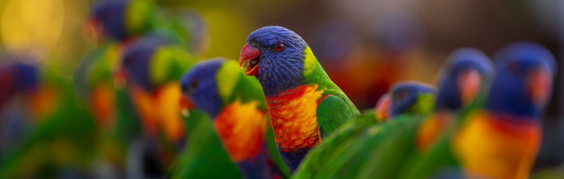 What LLMs Can and Cannot Do